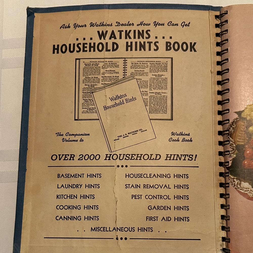 Vintage J. R. Watkins Blue Cook Book - Picture 5 of 11